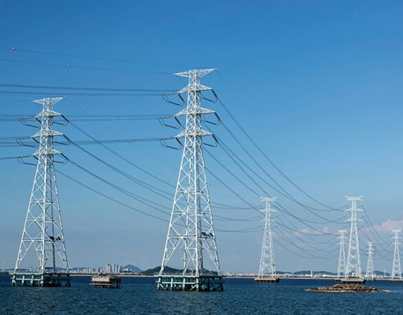 Sharika Enterprises Secures Rs. 64.48 Lakh OPGW Cable Order from LS Cable India