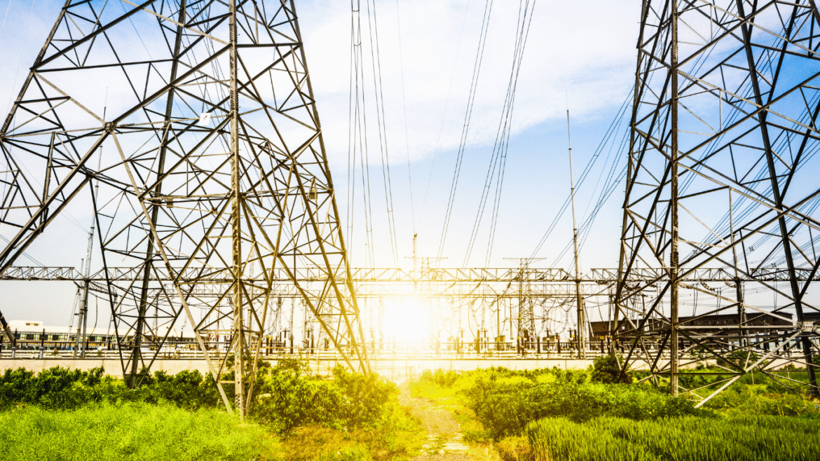 Govt Plans Massive Transmission Network to Support 900 GW Non-Fossil Capacity by FY36: CEA